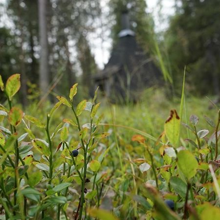 Вілла Raekkipirtti Луосто Екстер'єр фото