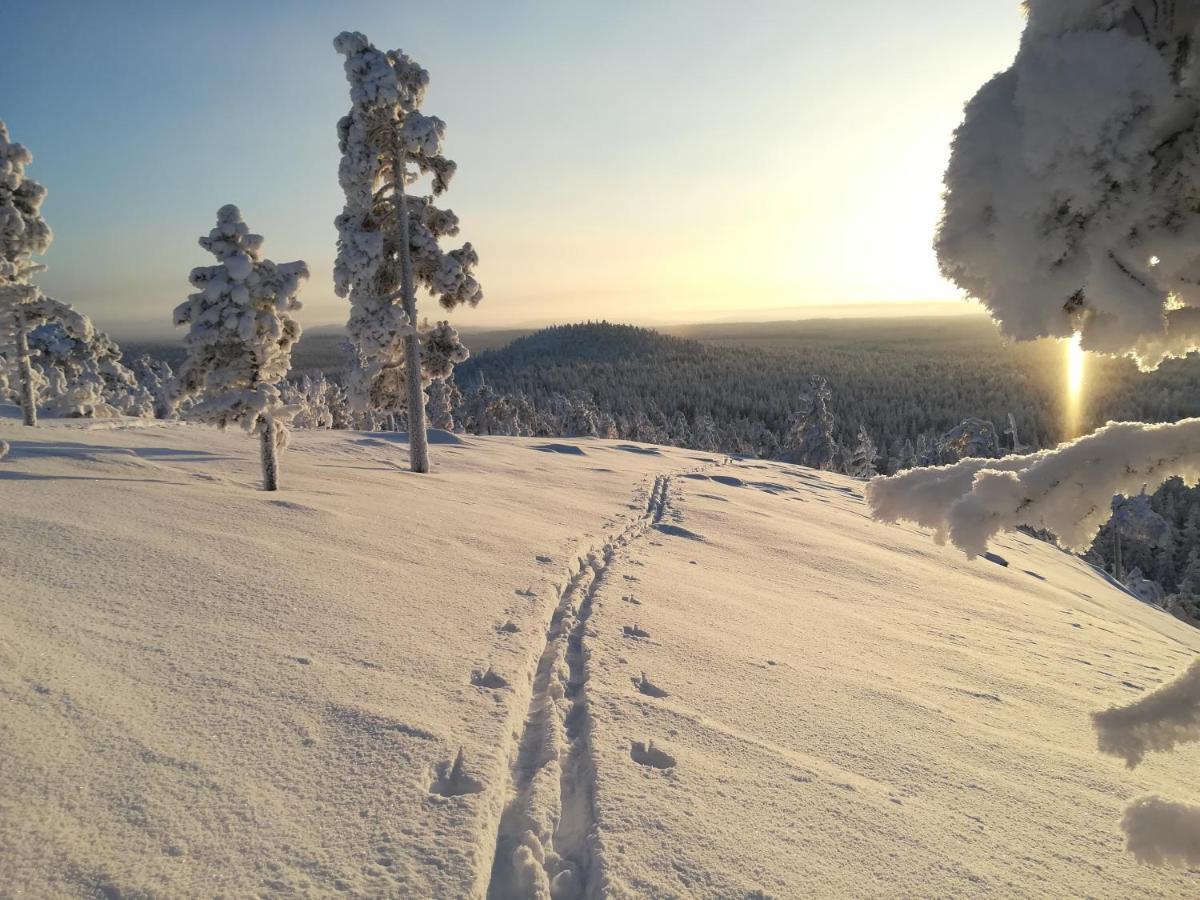 Вілла Raekkipirtti Луосто Екстер'єр фото