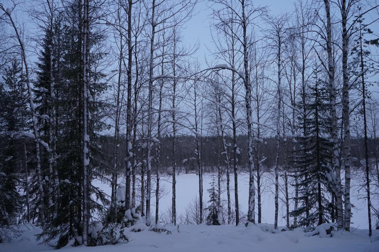 Вілла Raekkipirtti Луосто Екстер'єр фото